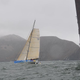 Illustration for article titled Pegasus Open 50, The Official Transpac Raceboat of Gizmodo